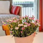 Hofgut Uhenfels Appartement Seeburg (Baden-Wurttemberg)