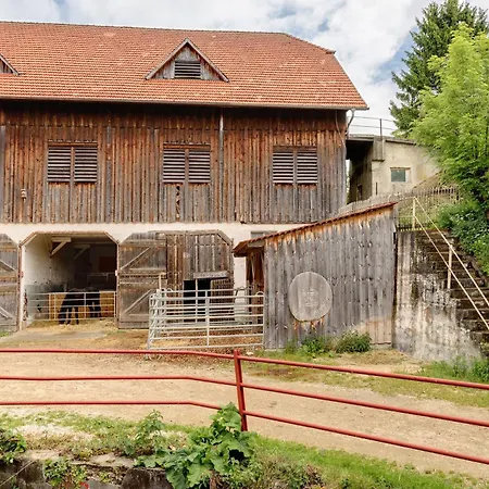 Hofgut Uhenfels Daire Seeburg (Baden-Wurttemberg)