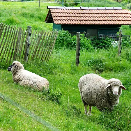 Hofgut Uhenfels Daire
