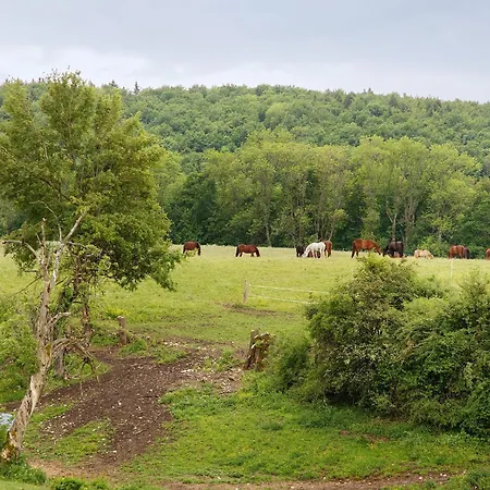 Daire Hofgut Uhenfels *