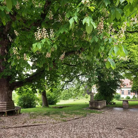 Daire Hofgut Uhenfels