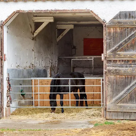 Hofgut Uhenfels * Seeburg (Baden-Wurttemberg)