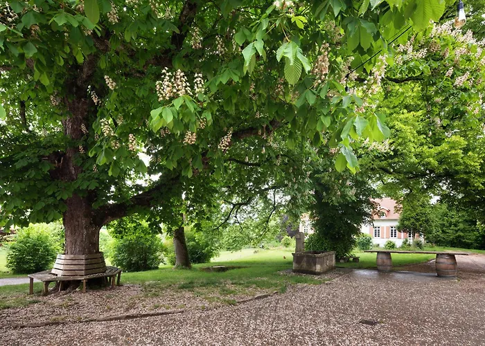 アパート Hofgut Uhenfels